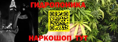 стаф Краснодар