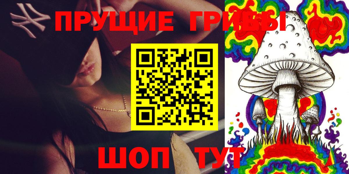 Псилоцибиновые грибы GOLDEN TEACHER  Псилоцибиновые грибы мухоморы  Вход с VPN  сколько стоит  Зеленокумск 
